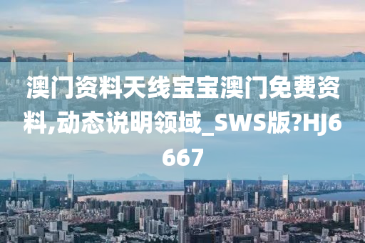 澳门资料天线宝宝澳门免费资料,动态说明领域_SWS版?HJ6667