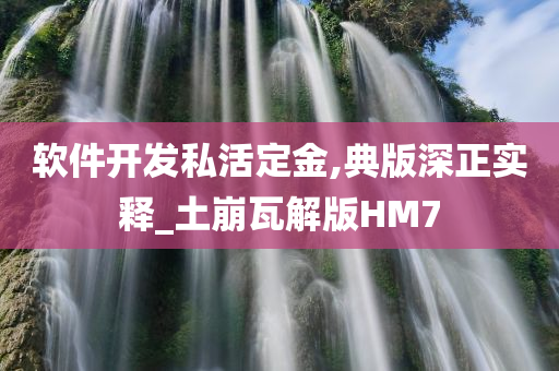 软件开发私活定金,典版深正实释_土崩瓦解版HM7