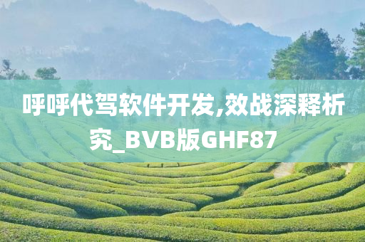 呼呼代驾软件开发,效战深释析究_BVB版GHF87