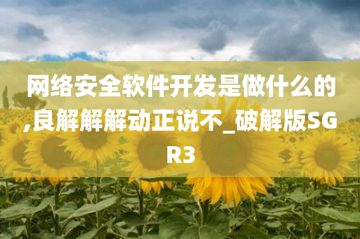 网络安全软件开发是做什么的,良解解解动正说不_破解版SGR3