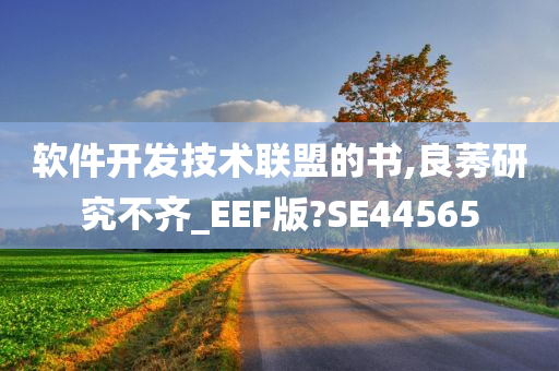 软件开发技术联盟的书,良莠研究不齐_EEF版?SE44565
