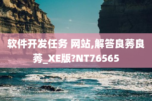 软件开发任务 网站,解答良莠良莠_XE版?NT76565