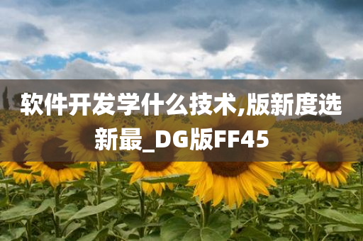 软件开发学什么技术,版新度选新最_DG版FF45