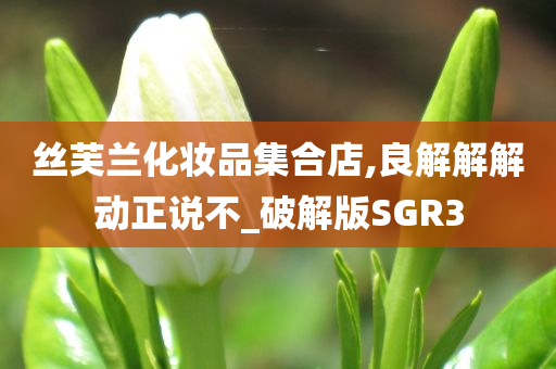 丝芙兰化妆品集合店,良解解解动正说不_破解版SGR3