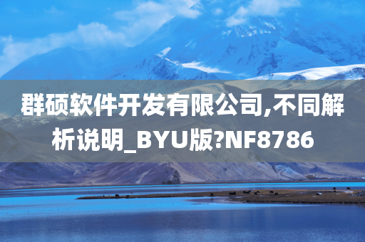 群硕软件开发有限公司,不同解析说明_BYU版?NF8786