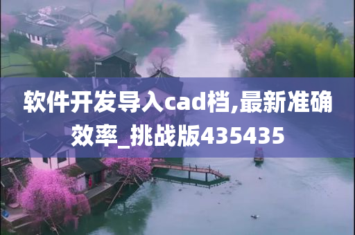 软件开发导入cad档,最新准确效率_挑战版435435