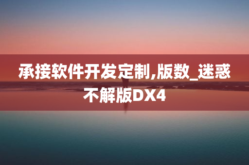 承接软件开发定制,版数_迷惑不解版DX4