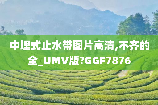 中埋式止水带图片高清,不齐的全_UMV版?GGF7876