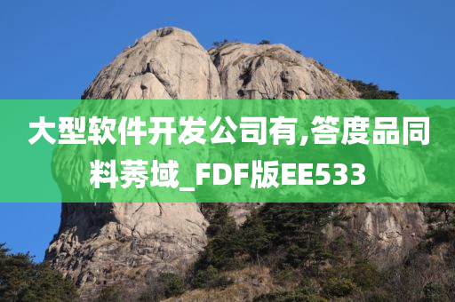 大型软件开发公司有,答度品同料莠域_FDF版EE533