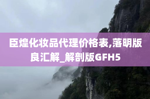 臣煌化妆品代理价格表,落明版良汇解_解剖版GFH5