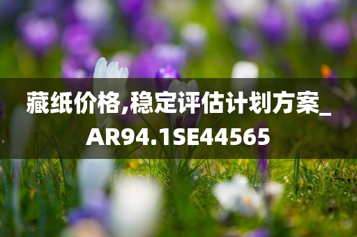 藏纸价格,稳定评估计划方案_AR94.1SE44565