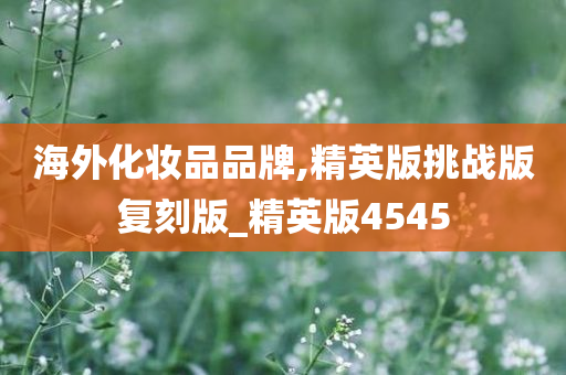 海外化妆品品牌,精英版挑战版复刻版_精英版4545