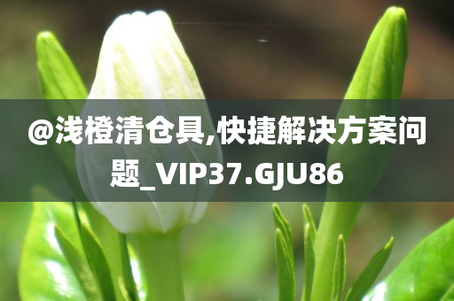 @浅橙清仓具,快捷解决方案问题_VIP37.GJU86