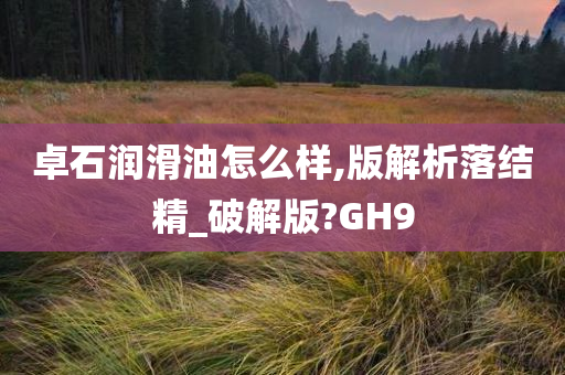 破解版 第13页
