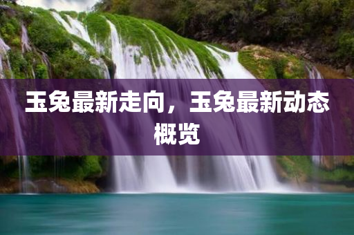 玉兔最新走向，玉兔最新动态概览