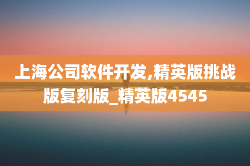 上海公司软件开发,精英版挑战版复刻版_精英版4545