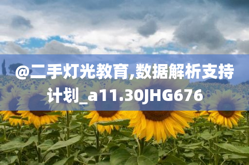 @二手灯光教育,数据解析支持计划_a11.30JHG676
