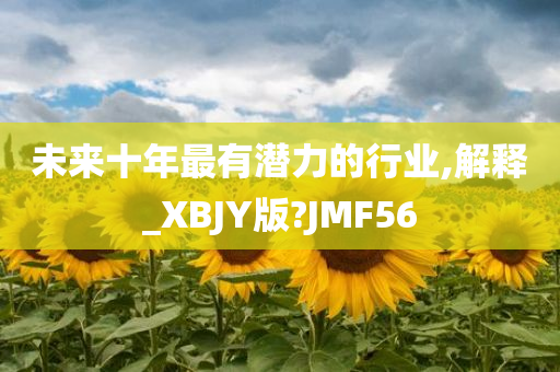 未来十年最有潜力的行业,解释_XBJY版?JMF56