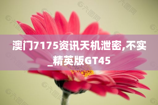 澳门7175资讯天机泄密,不实_精英版GT45