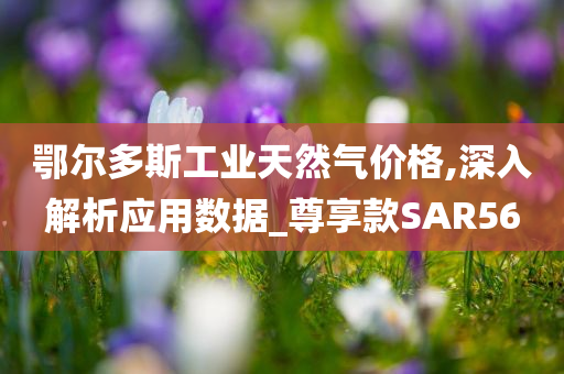 鄂尔多斯工业天然气价格,深入解析应用数据_尊享款SAR56