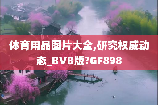 体育用品图片大全,研究权威动态_BVB版?GF898