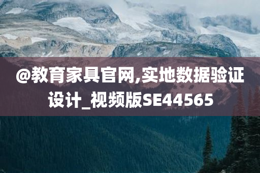 设计验证