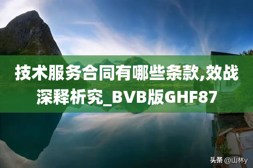 技术服务合同 第2页
