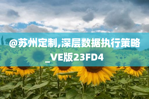 @苏州定制,深层数据执行策略_VE版23FD4