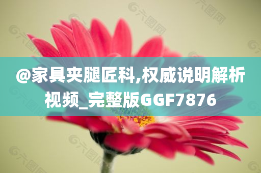 @家具夹腿匠科,权威说明解析视频_完整版GGF7876