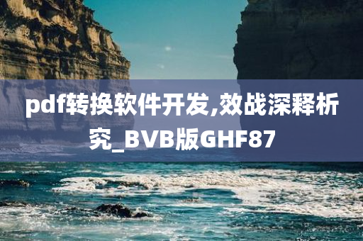 pdf转换软件开发,效战深释析究_BVB版GHF87