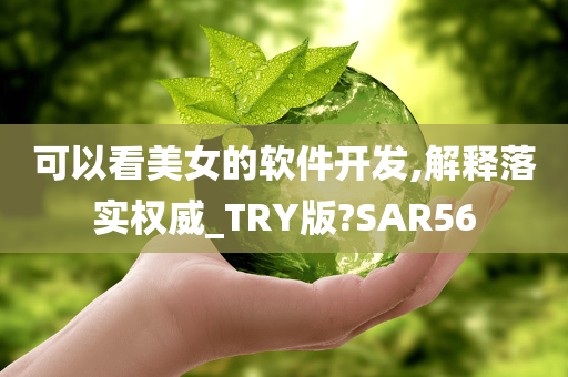 软件开发 第22页