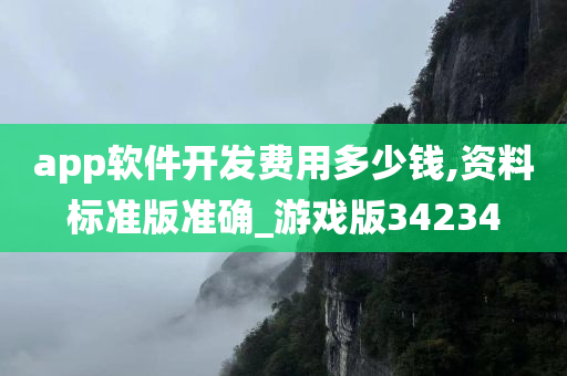 游戏版 第11页