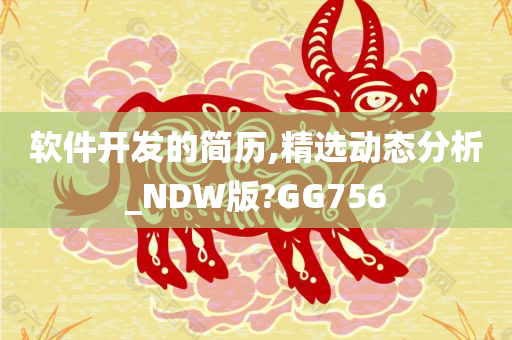 软件开发 第21页