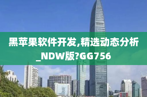 黑苹果软件开发,精选动态分析_NDW版?GG756