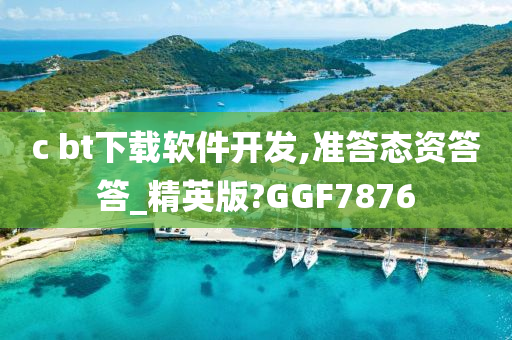 软件开发 第20页