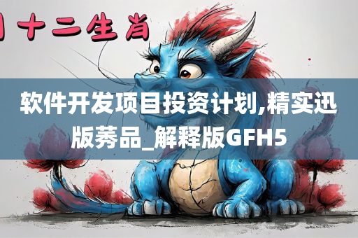 软件开发项目投资计划,精实迅版莠品_解释版GFH5