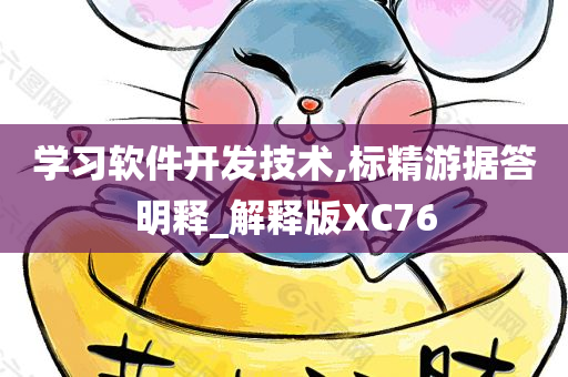 学习软件开发技术,标精游据答明释_解释版XC76