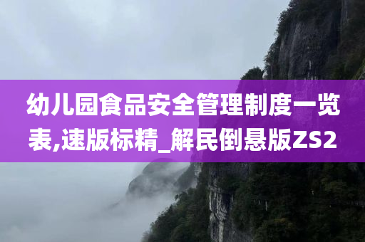 幼儿园食品安全管理制度一览表,速版标精_解民倒悬版ZS2