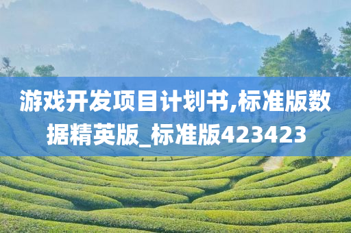 游戏开发项今晚必出三肖2025_2025新澳门精准免费提供·精确判断目计划书,标准版数据精英版_标准版423423