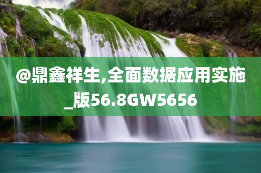 @鼎鑫祥生,全面数据应用实施_版56.8GW5656