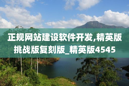 正规网站建设软件开发,精英版挑战版复刻版_精英版4545