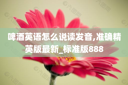 啤酒英语怎么说读发音,准确精英版最新_标准版888