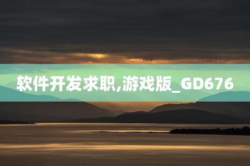 软件开发求职,游戏版_GD676