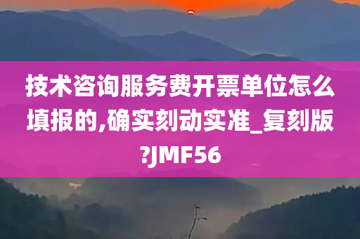 技术咨询服务费开票单位怎么填报的,确实刻动实准_复刻版?JMF56