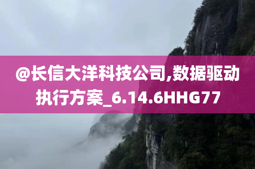 方案