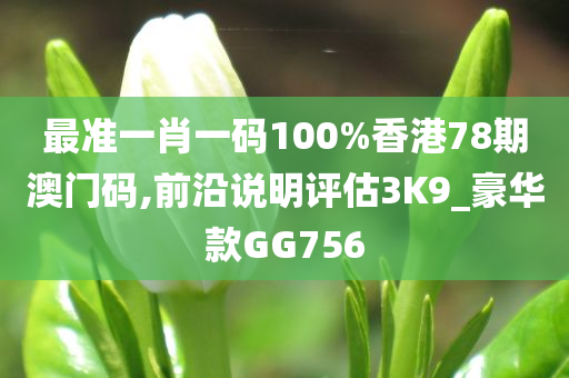 最准一肖一码100%香港78期澳门码,前沿说明评估3K9_豪华款GG756