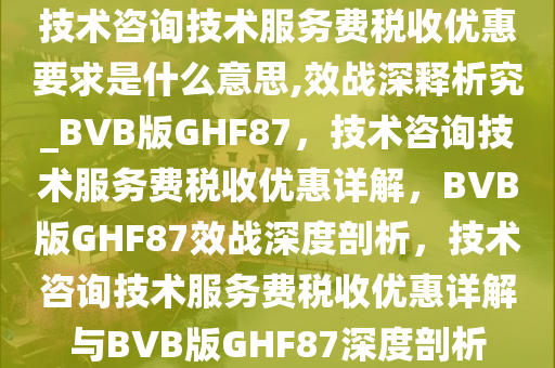 技术咨询技术服务费税收优惠要求是什么意思,效战深释析究_BVB版GHF87，技术咨询技术服务费税收优惠详解，BVB版GHF87效战深度剖析，技术咨询技术服务费税收优惠详解与BVB版GHF87深度剖析